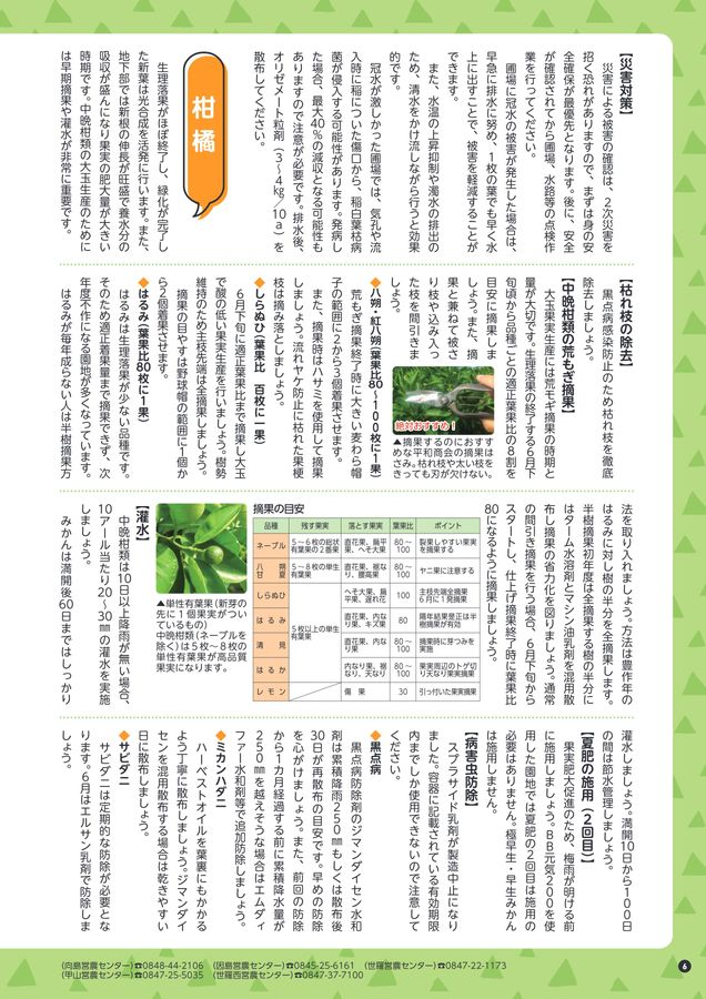 ええJAんおのみち6月号415