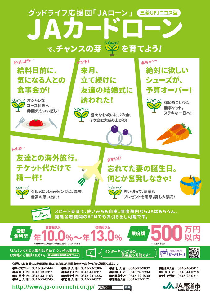 カードローン　ニコス型