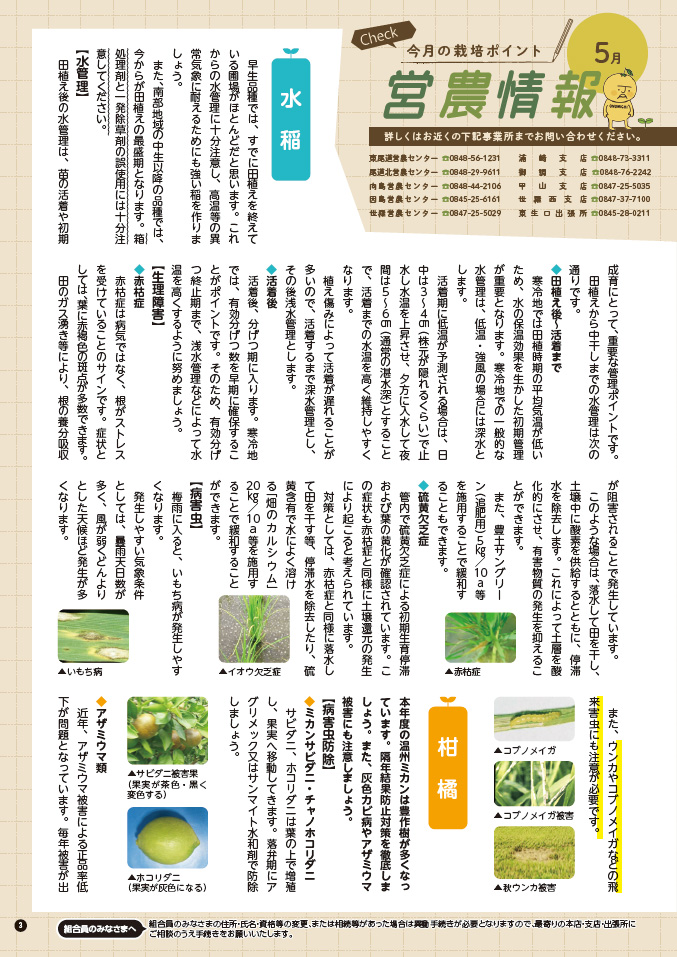 2025年5月