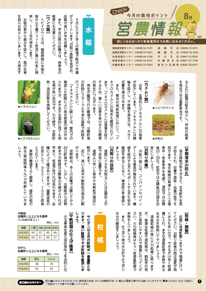2025年8月