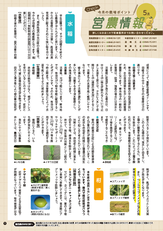 2026年4月