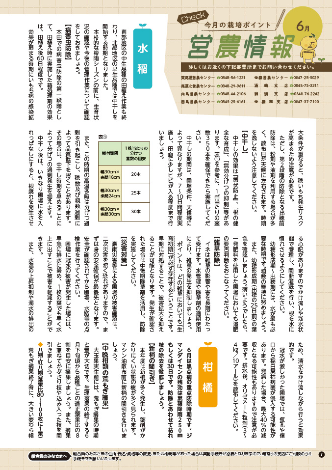 2026年6月