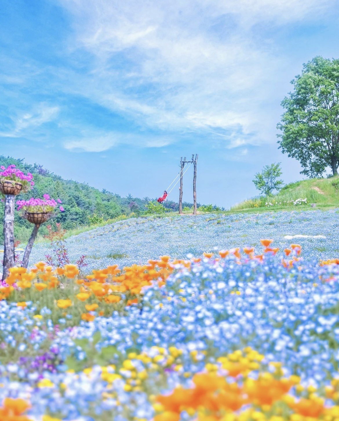 花の駅せら